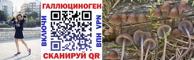 Галлюциногенные грибы Psilocybine cubensis  Отрадная 